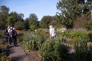 Botanical garden in Akureyri