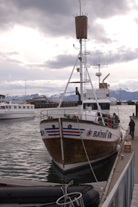 Our whale watch boat