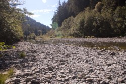 Van Dusen River at Grizzly Creek